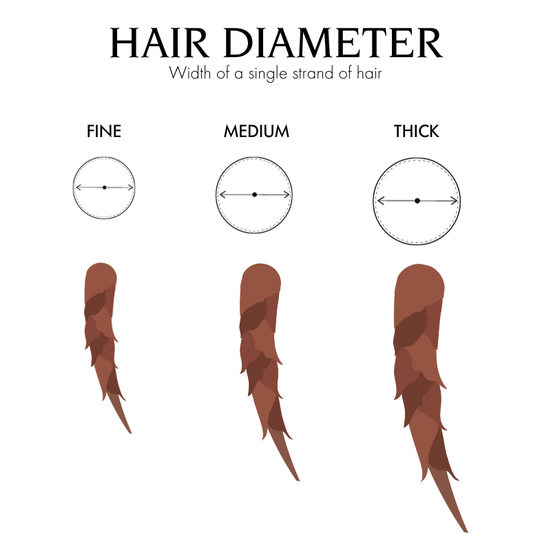 hair diameter | width of a single strand of human hair