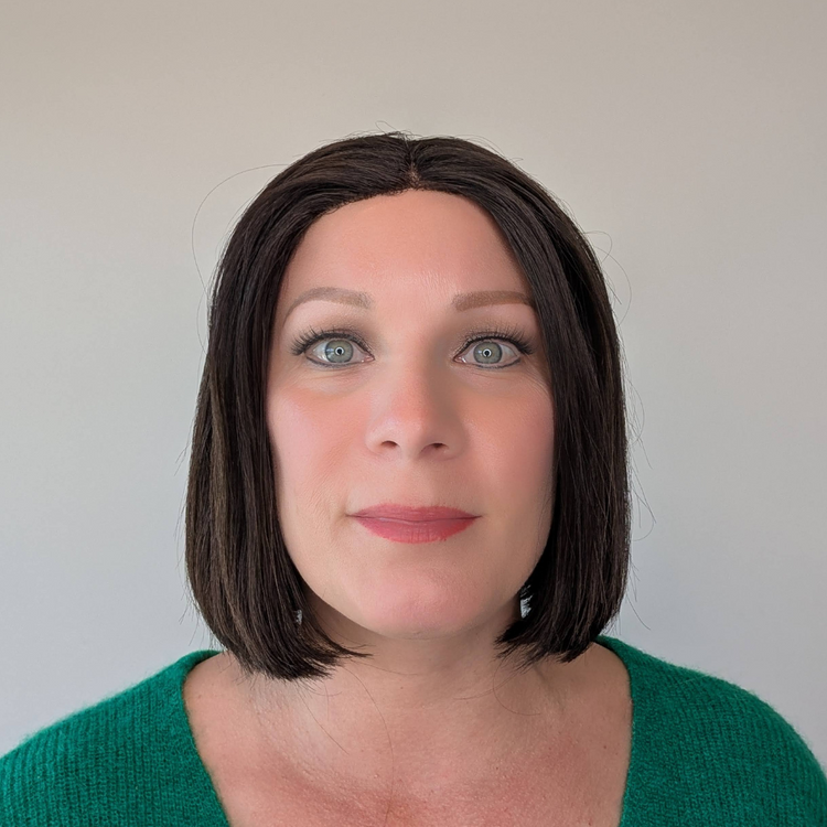 Synthetic Lace Front Wig