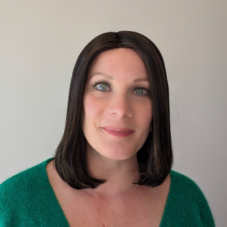 Synthetic Lace Front Wig