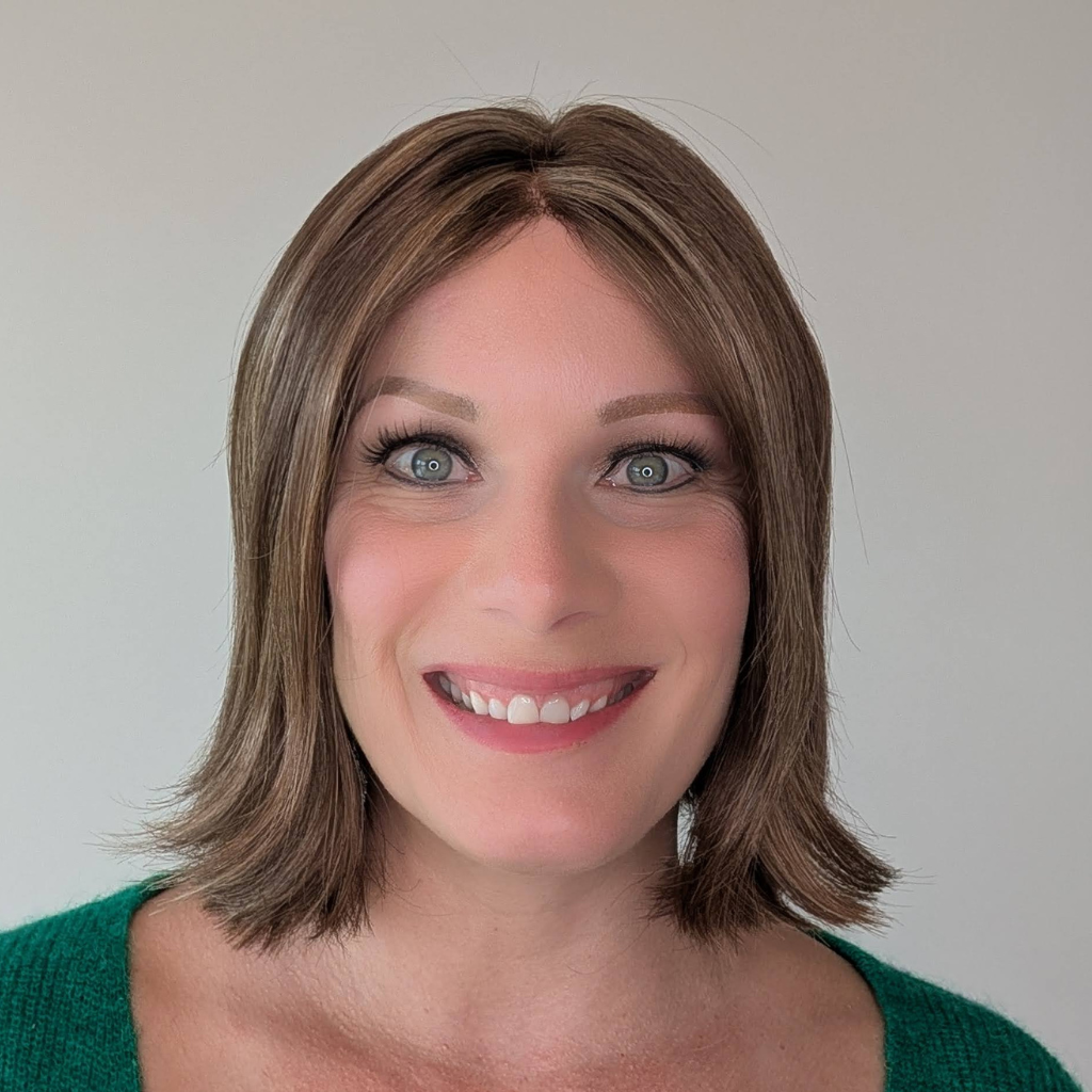 Synthetic Lace Front Wig