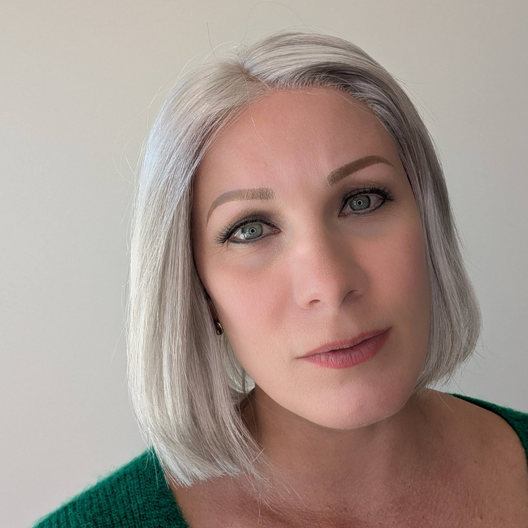 Synthetic Lace Front Wig