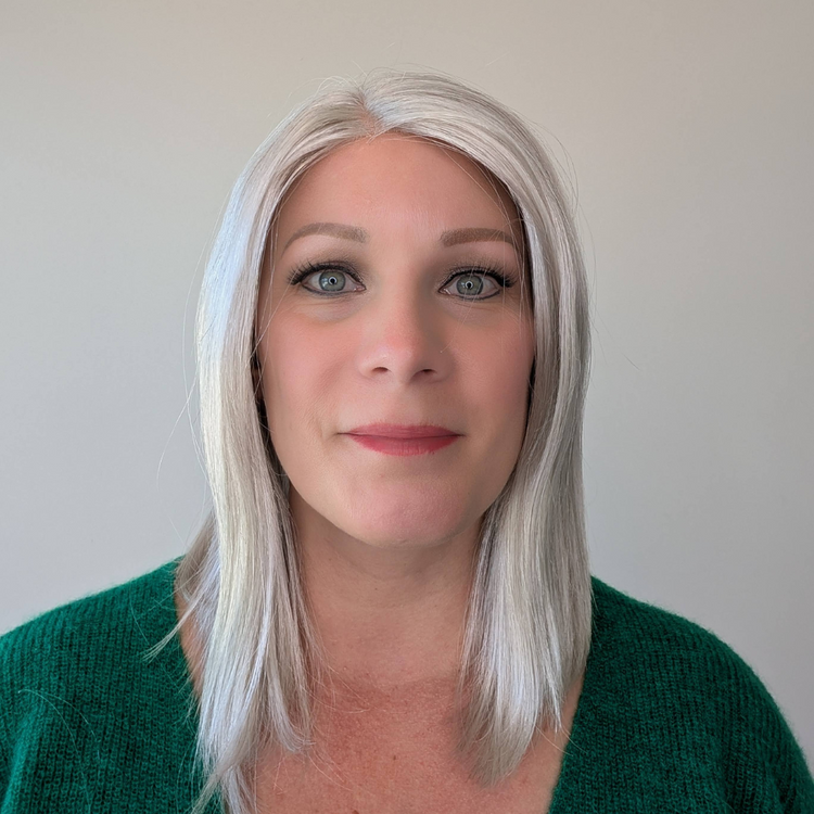 Synthetic Lace Front Wig