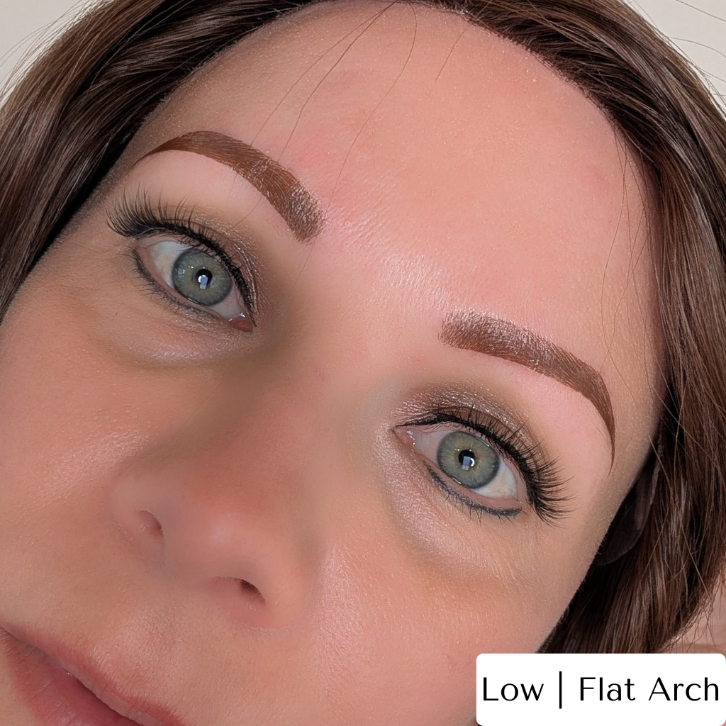 Temporary Eyebrow Tattoos Flat Arch Medium Brow
