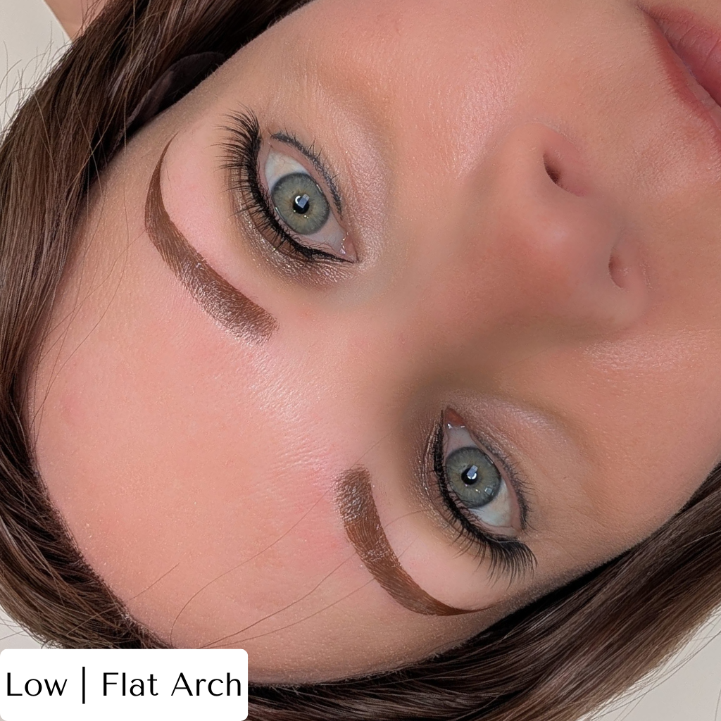 Temporary Eyebrow Tattoos Flat Arch Medium Brow
