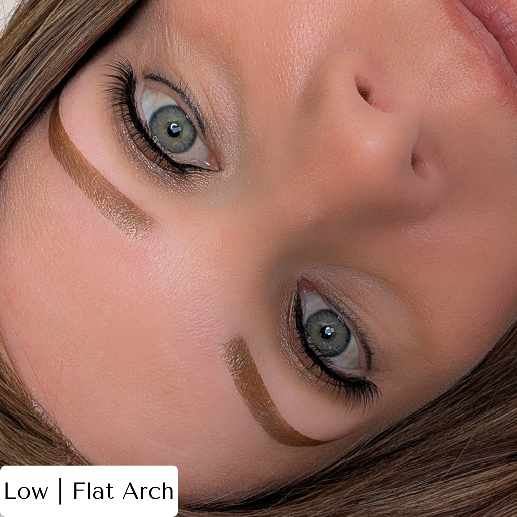 Temporary Eyebrow Tattoos Low or Flat Arch Bronde