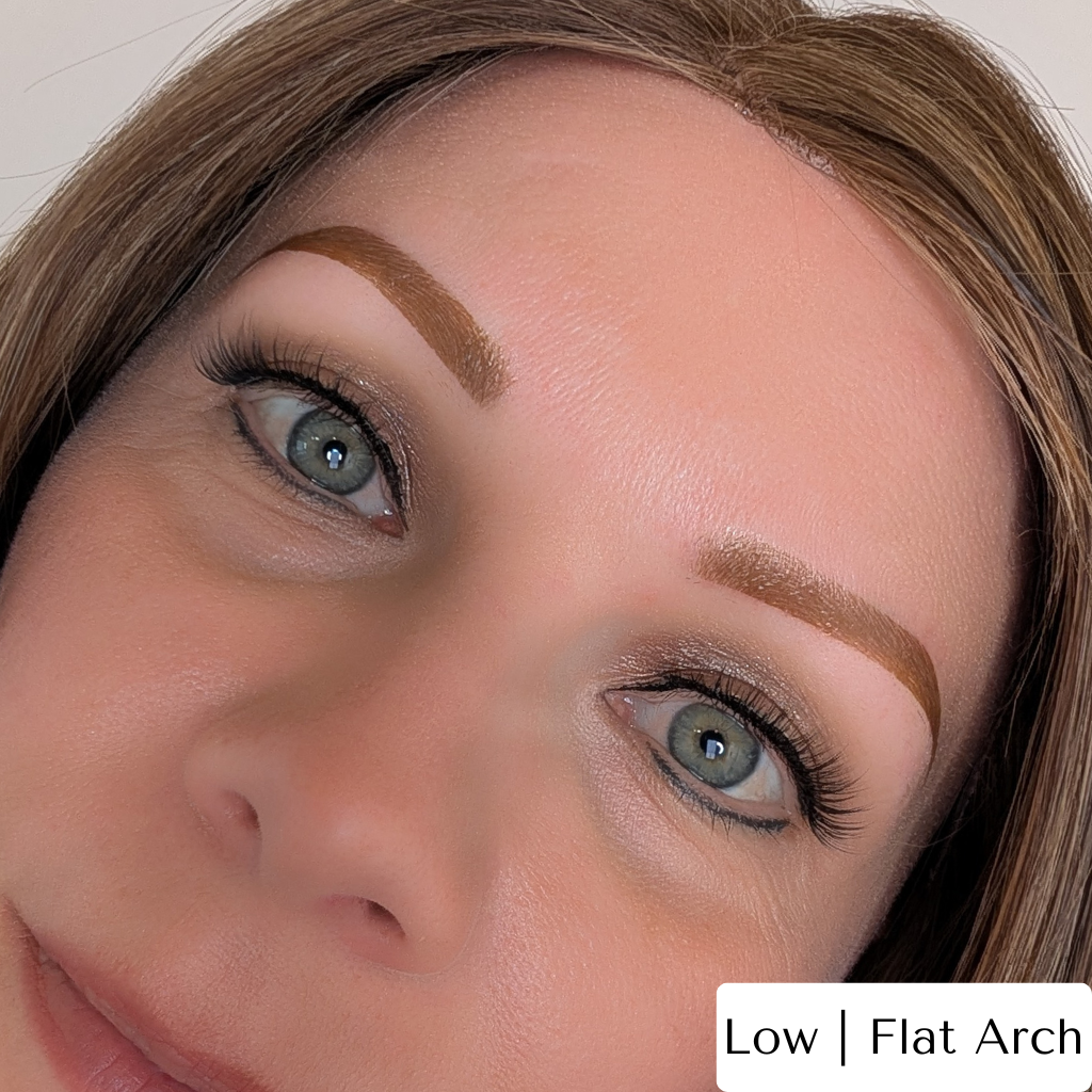 Temporary Eyebrow Tattoos Low or Flat Arch Bronde