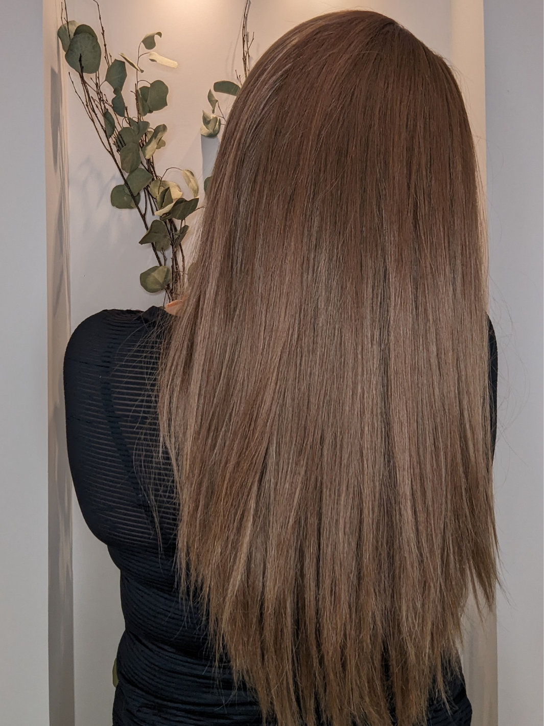 brown human hair wig